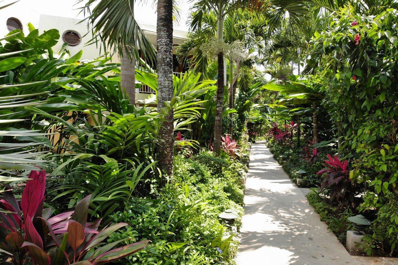 فندق Negril Palms المظهر الخارجي الصورة