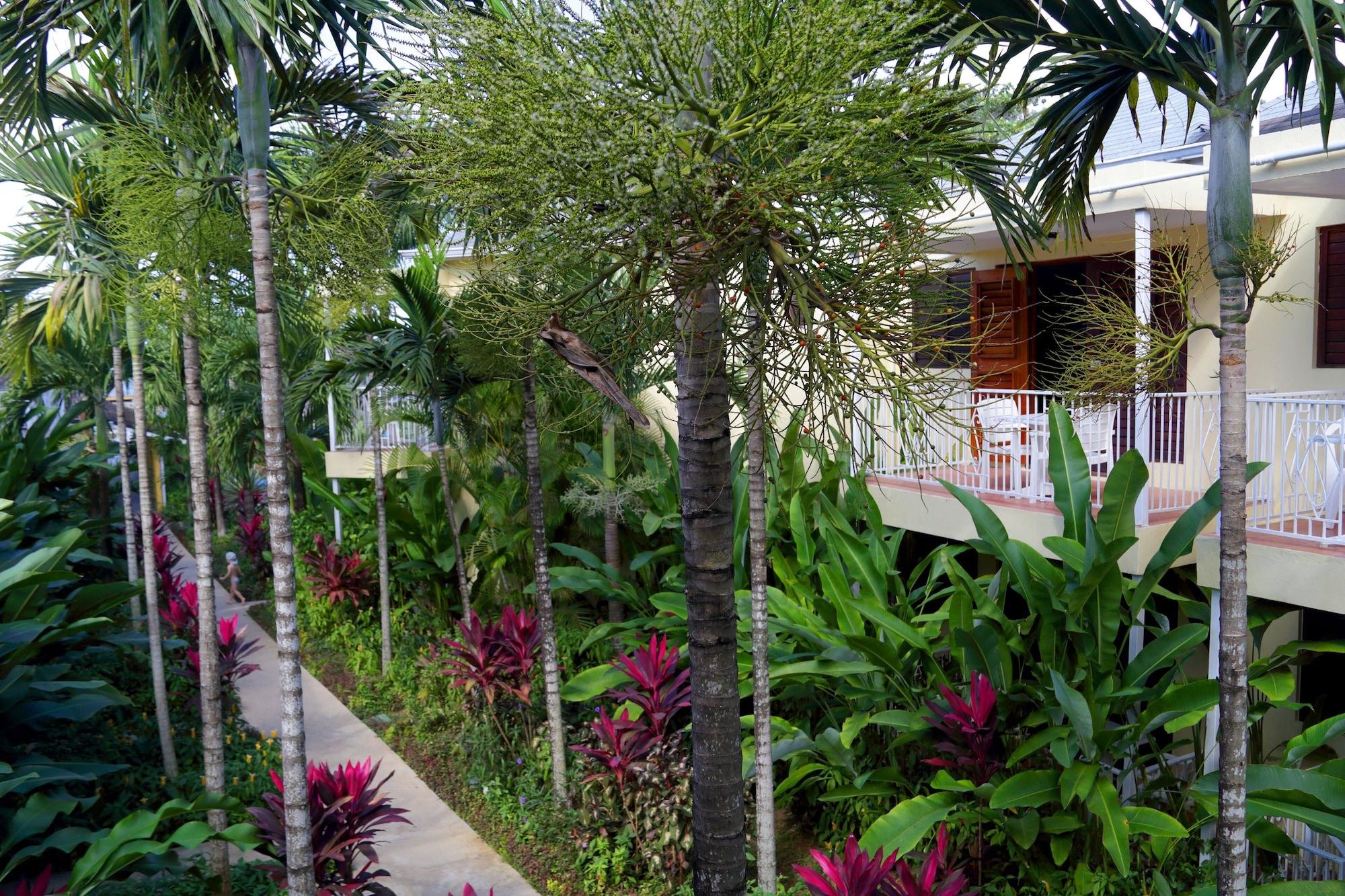 فندق Negril Palms المظهر الخارجي الصورة