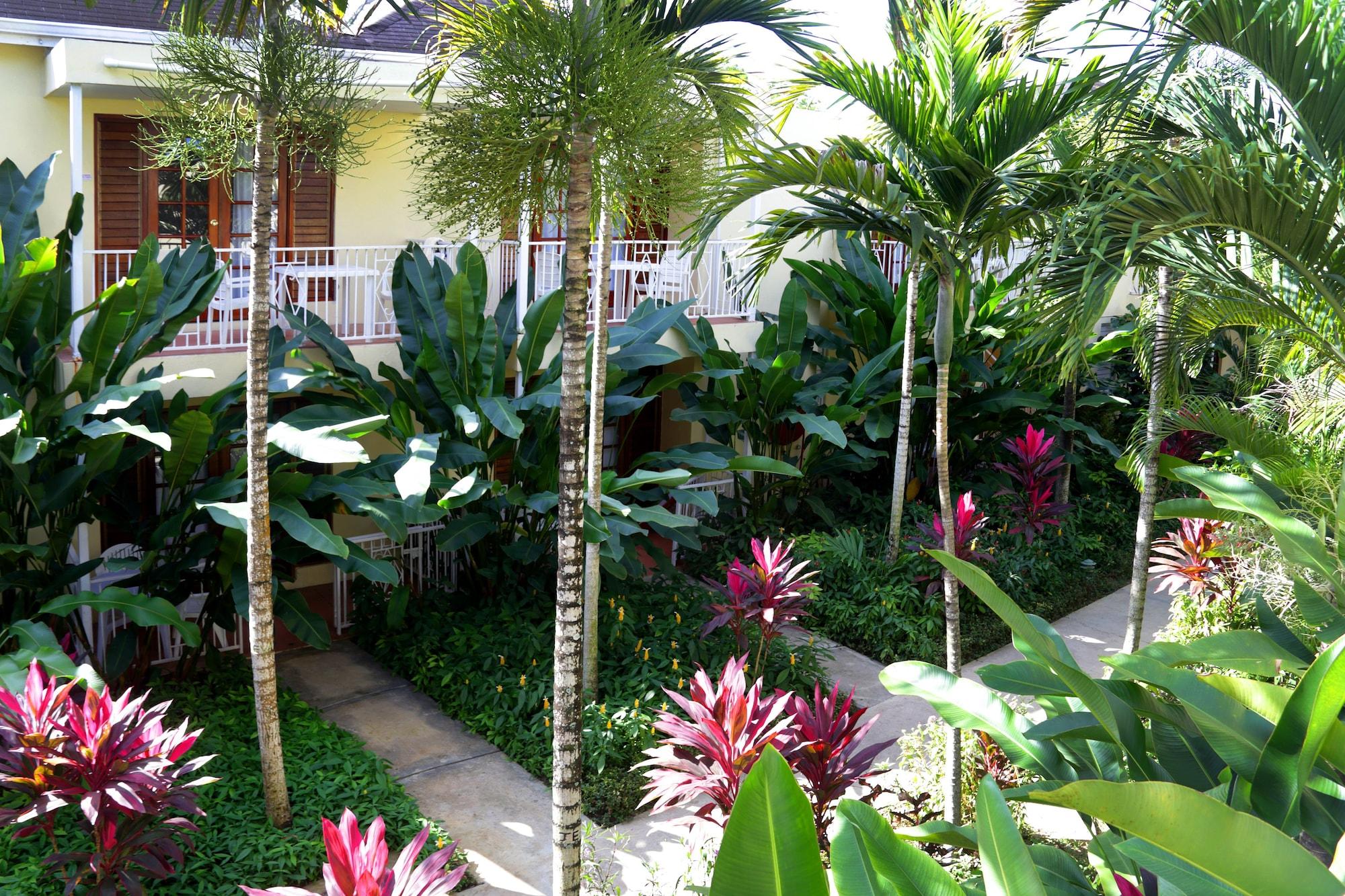 فندق Negril Palms المظهر الخارجي الصورة