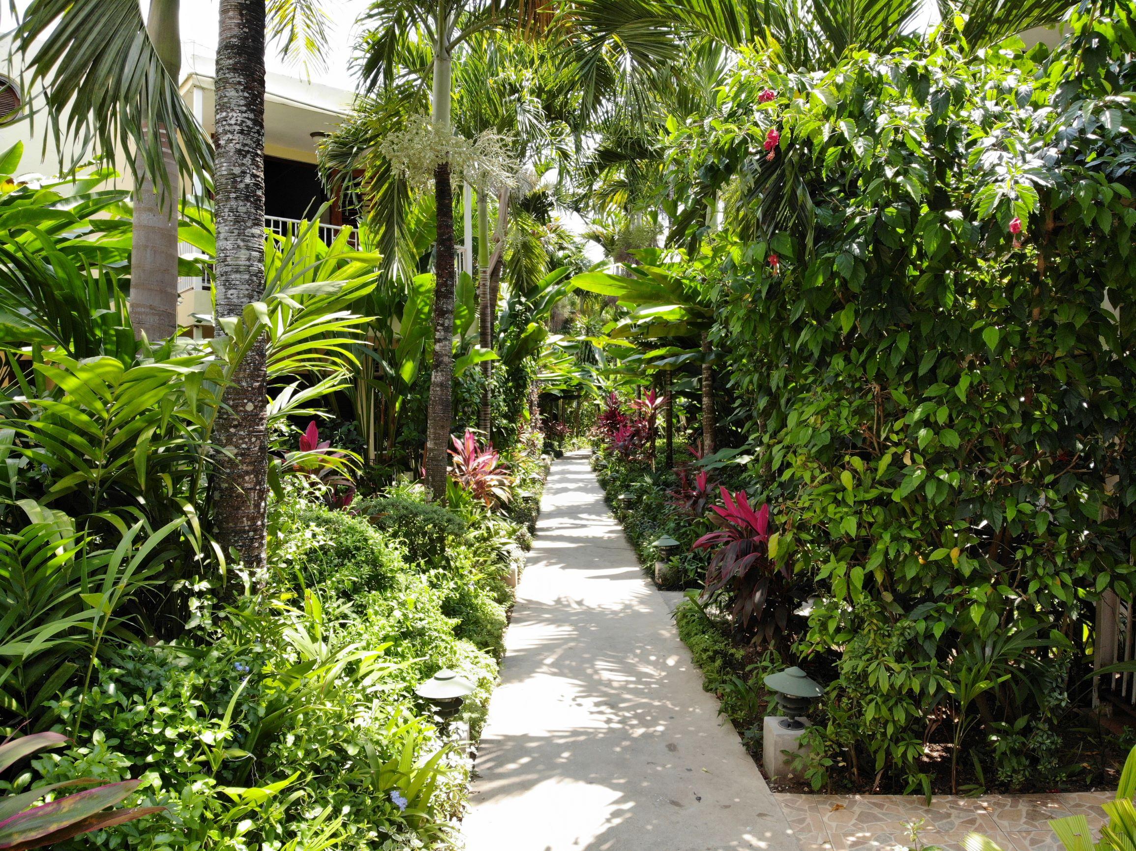 فندق Negril Palms المظهر الخارجي الصورة